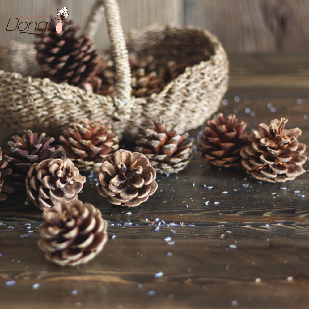 Natural pine cones deal apple dried natural pinecones, big and small, christmas home decoration