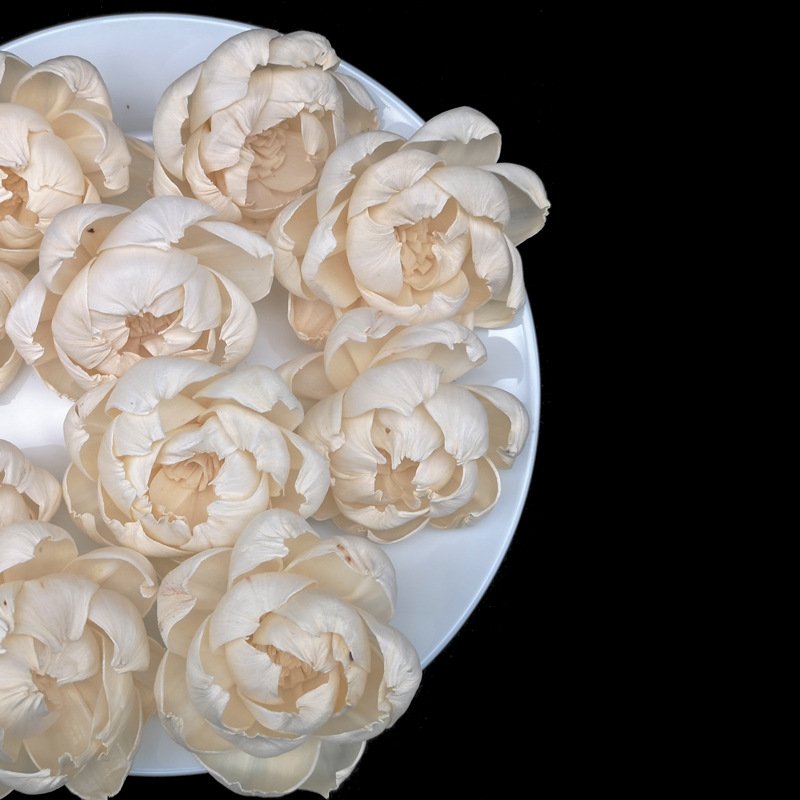 2024 Amazon New Product Ideas Flower Arrangement Sola Flower Handmade flowers Decorations for Home/wedding/bouquet