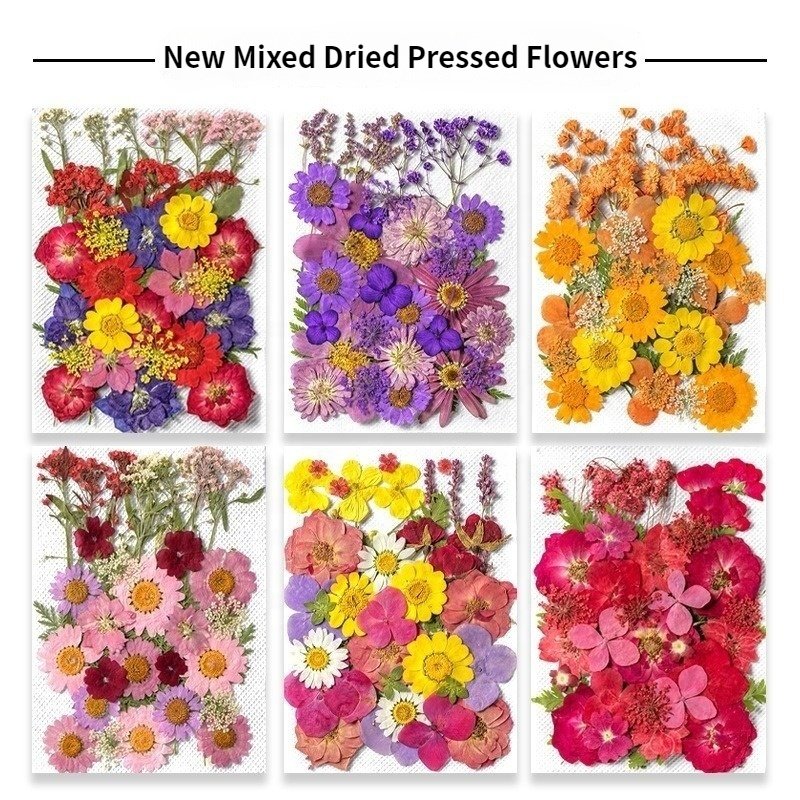 Custom mixed natural flowers specimen for DIY resin decor handmade real dried pressed flowers