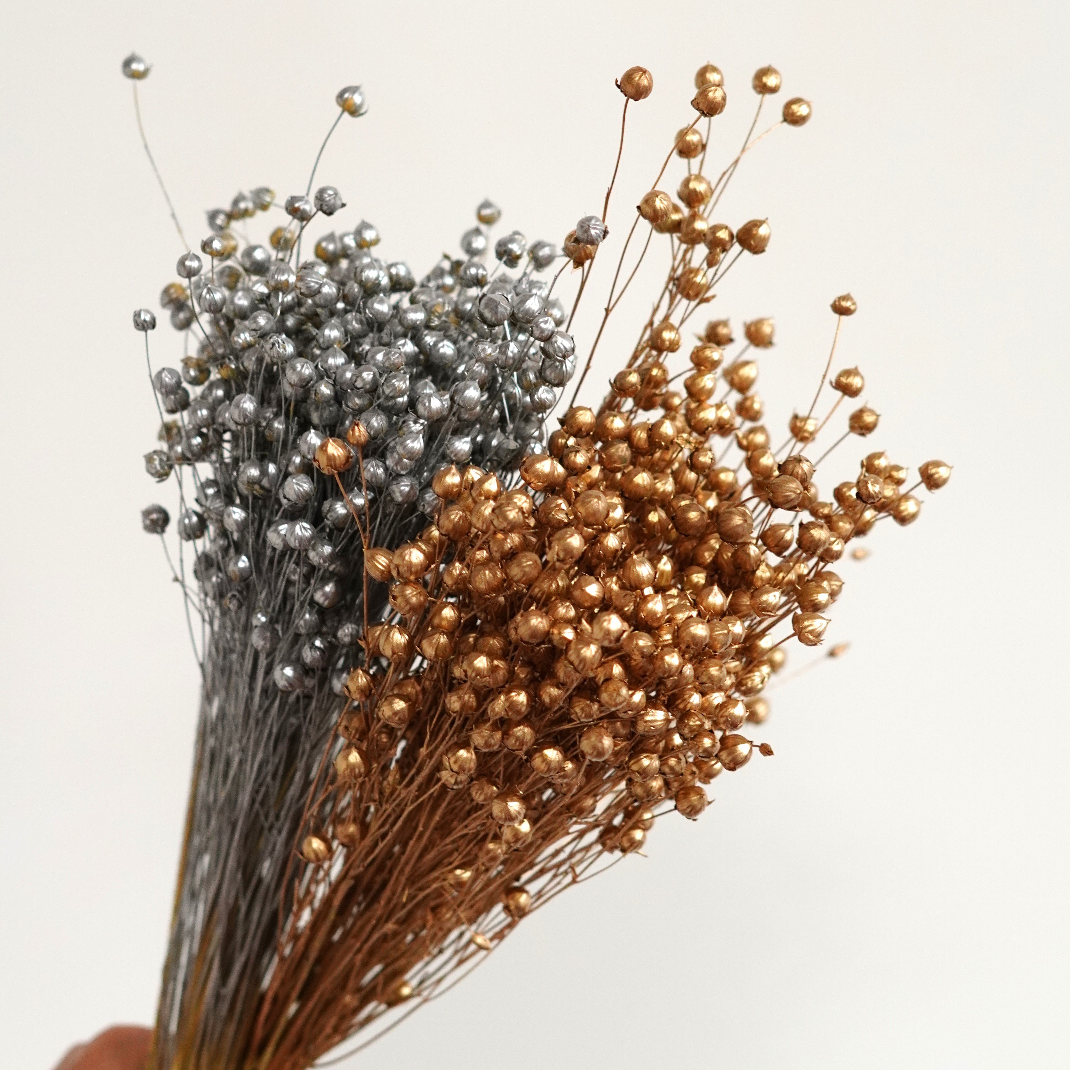 Preserved Natural Dried Flax Bunch, dried grains, dried pods, natural florals, natural grains, rustic wedding