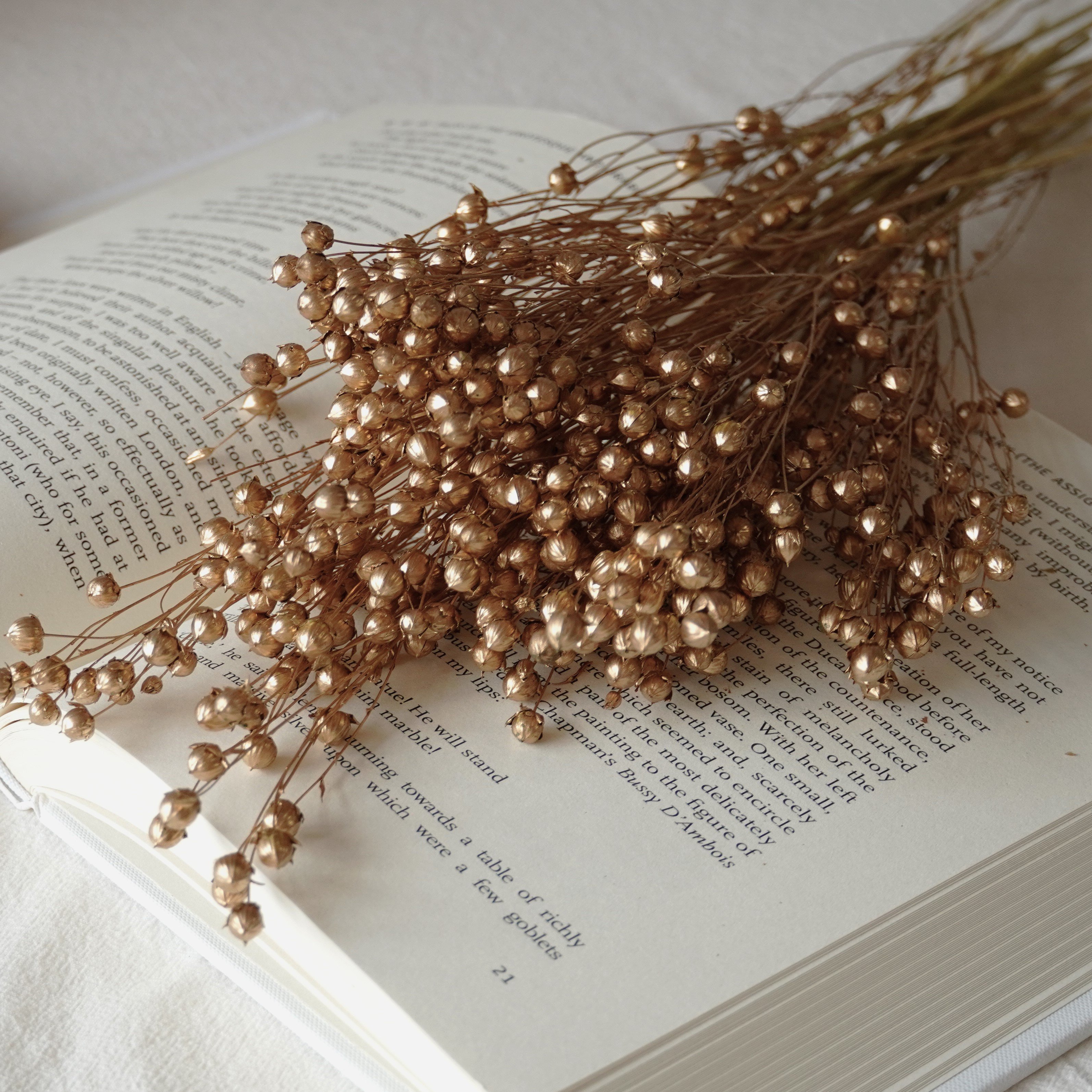 Preserved Natural Dried Flax Bunch, dried grains, dried pods, natural florals, natural grains, rustic wedding