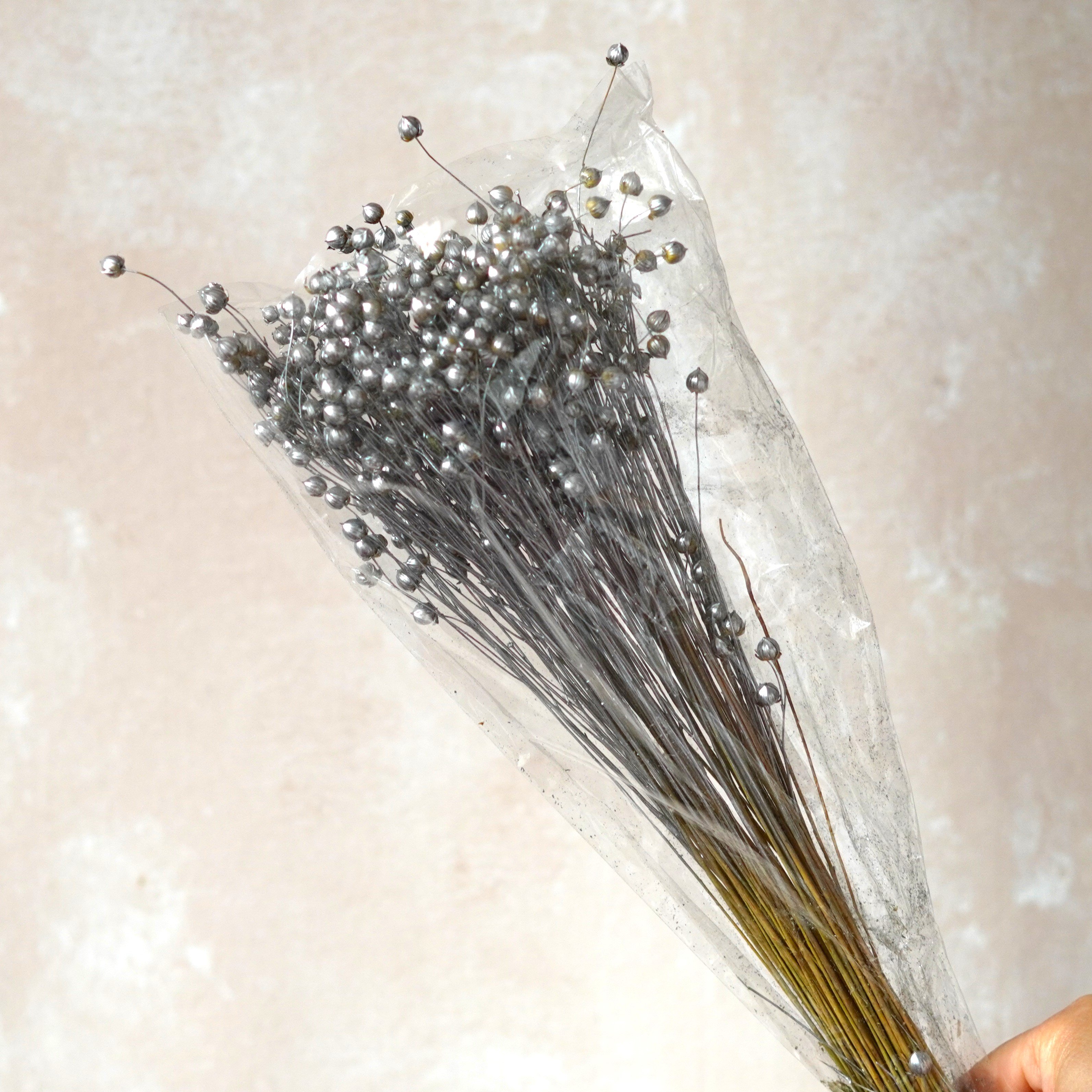 Preserved Natural Dried Flax Bunch, dried grains, dried pods, natural florals, natural grains, rustic wedding
