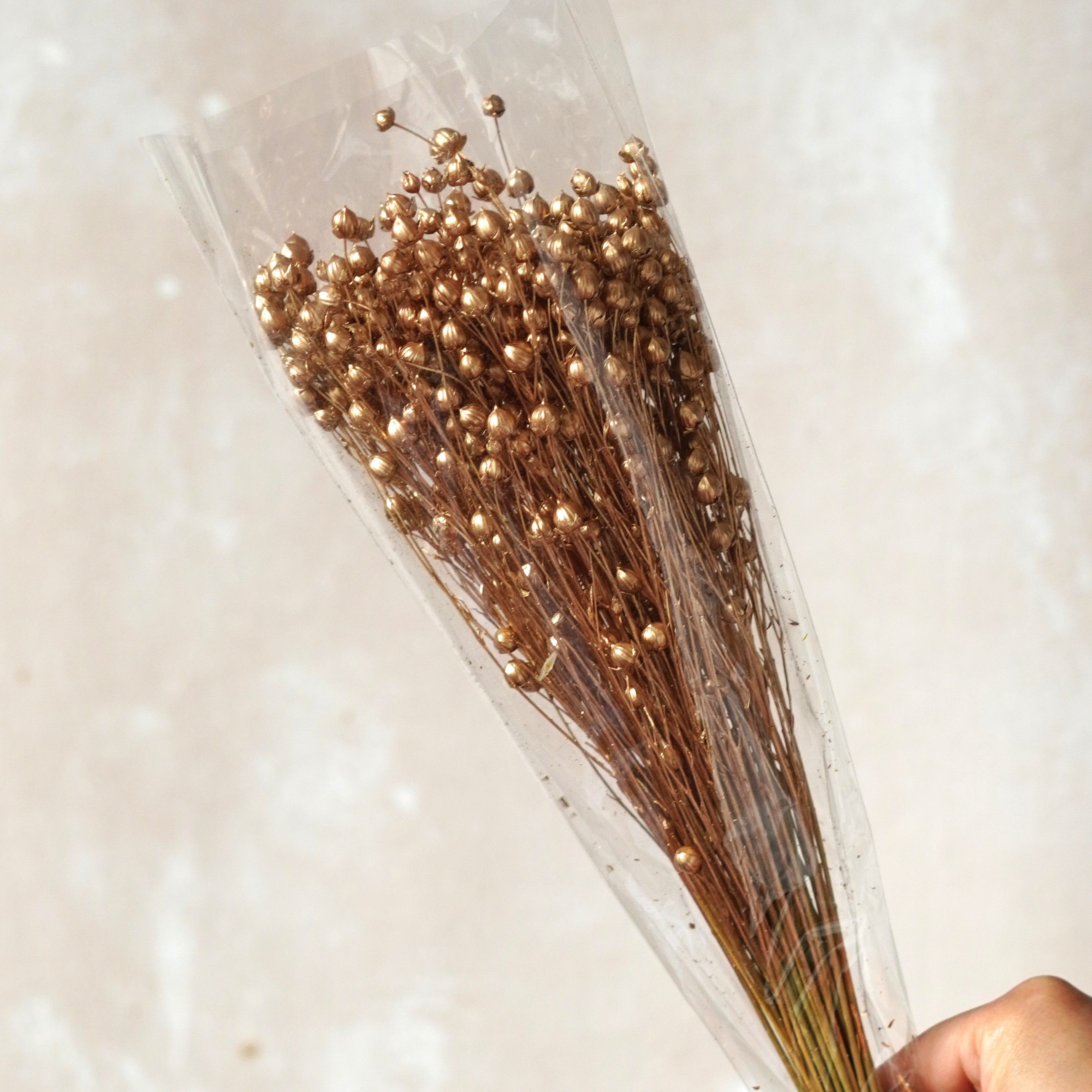 Preserved Natural Dried Flax Bunch, dried grains, dried pods, natural florals, natural grains, rustic wedding