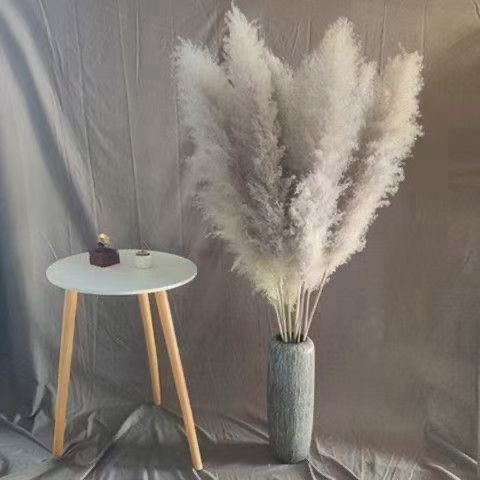 Top sale yunnan wholesale dried flower dried grey large pampas grass for wedding decoration