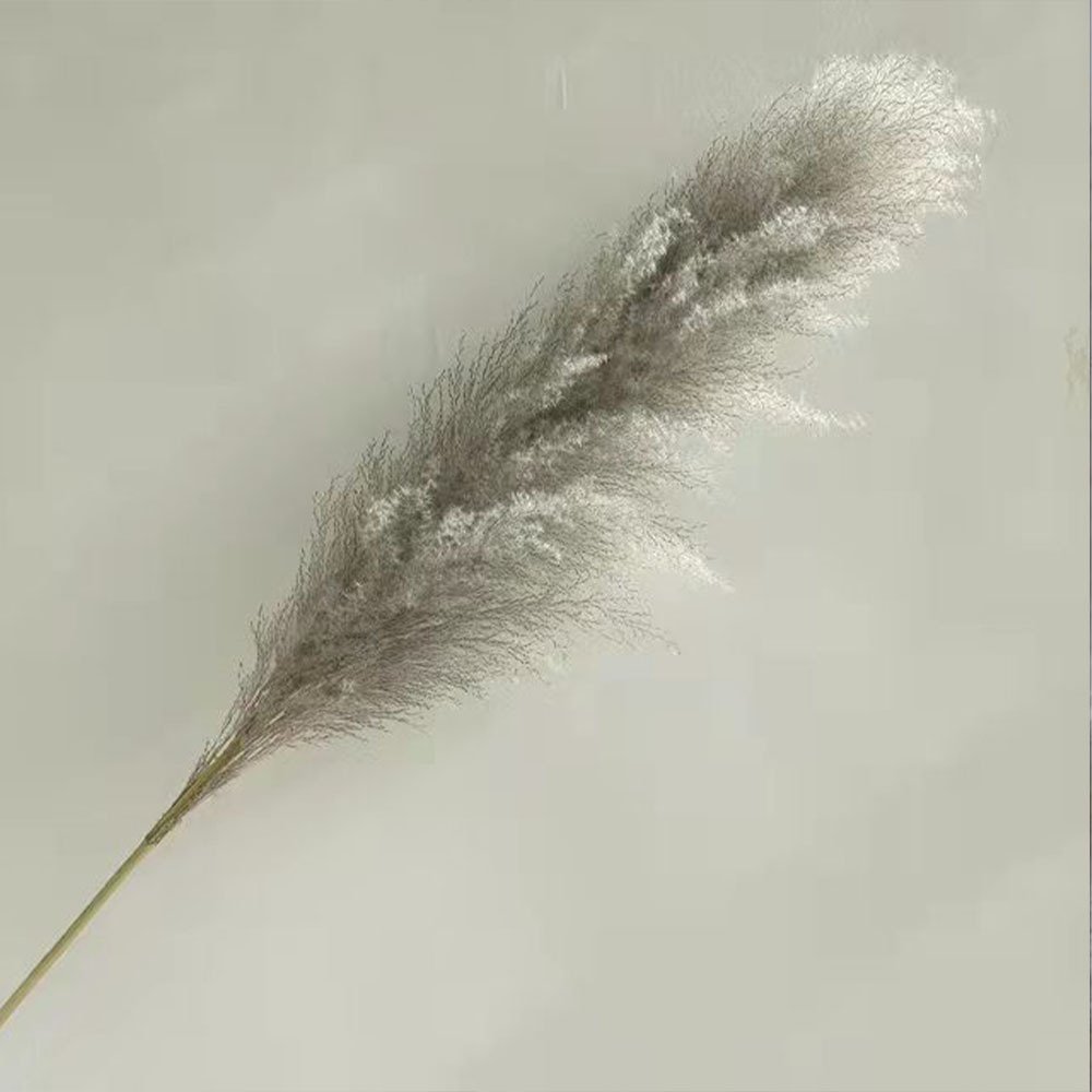 Top sale yunnan wholesale dried flower dried grey large pampas grass for wedding decoration