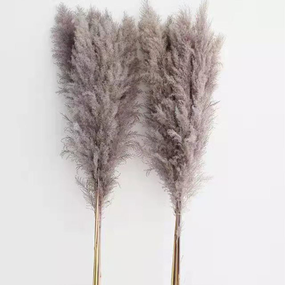 Top sale yunnan wholesale dried flower dried grey large pampas grass for wedding decoration