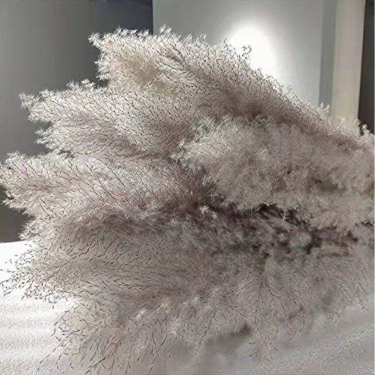 Top sale yunnan wholesale dried flower dried grey large pampas grass for wedding decoration