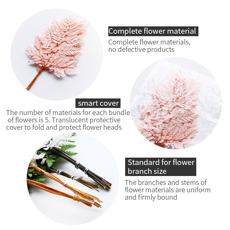 GH-016 Natural plant flowers preserved flower dried fern leaf sawtooth leaf alpine tooth leaf fern wedding decoration wholesale