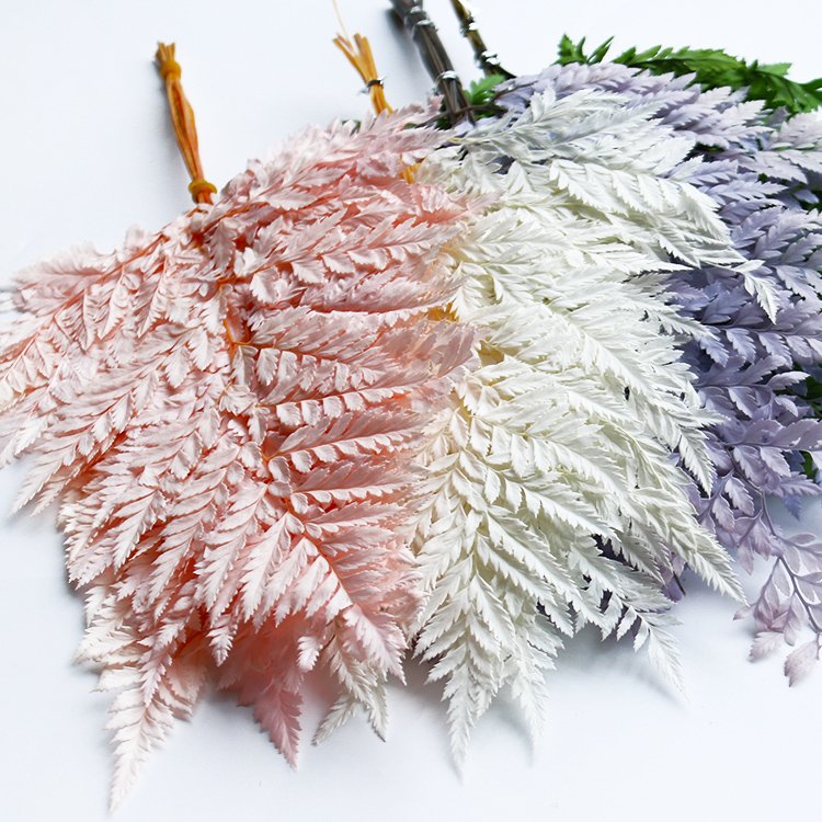 GH-016 Natural plant flowers preserved flower dried fern leaf sawtooth leaf alpine tooth leaf fern wedding decoration wholesale