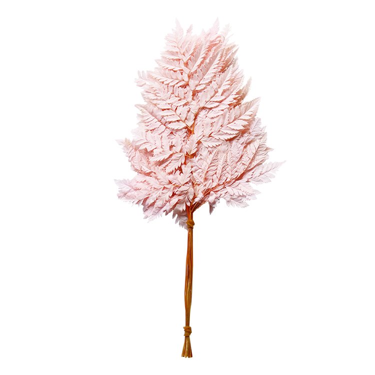 GH-016 Natural plant flowers preserved flower dried fern leaf sawtooth leaf alpine tooth leaf fern wedding decoration wholesale