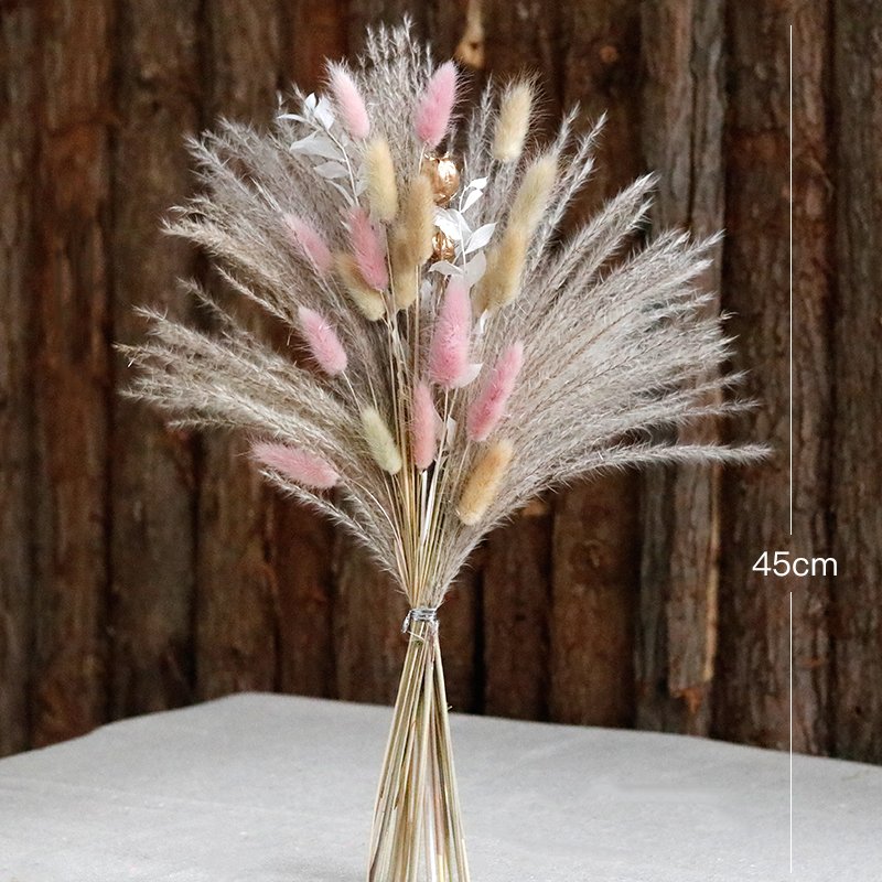 Hot Selling Nature Reed Grass and Dried Bunny Tails small Pampas Grass real dried Flowers bouquet For Wedding Party home Decor