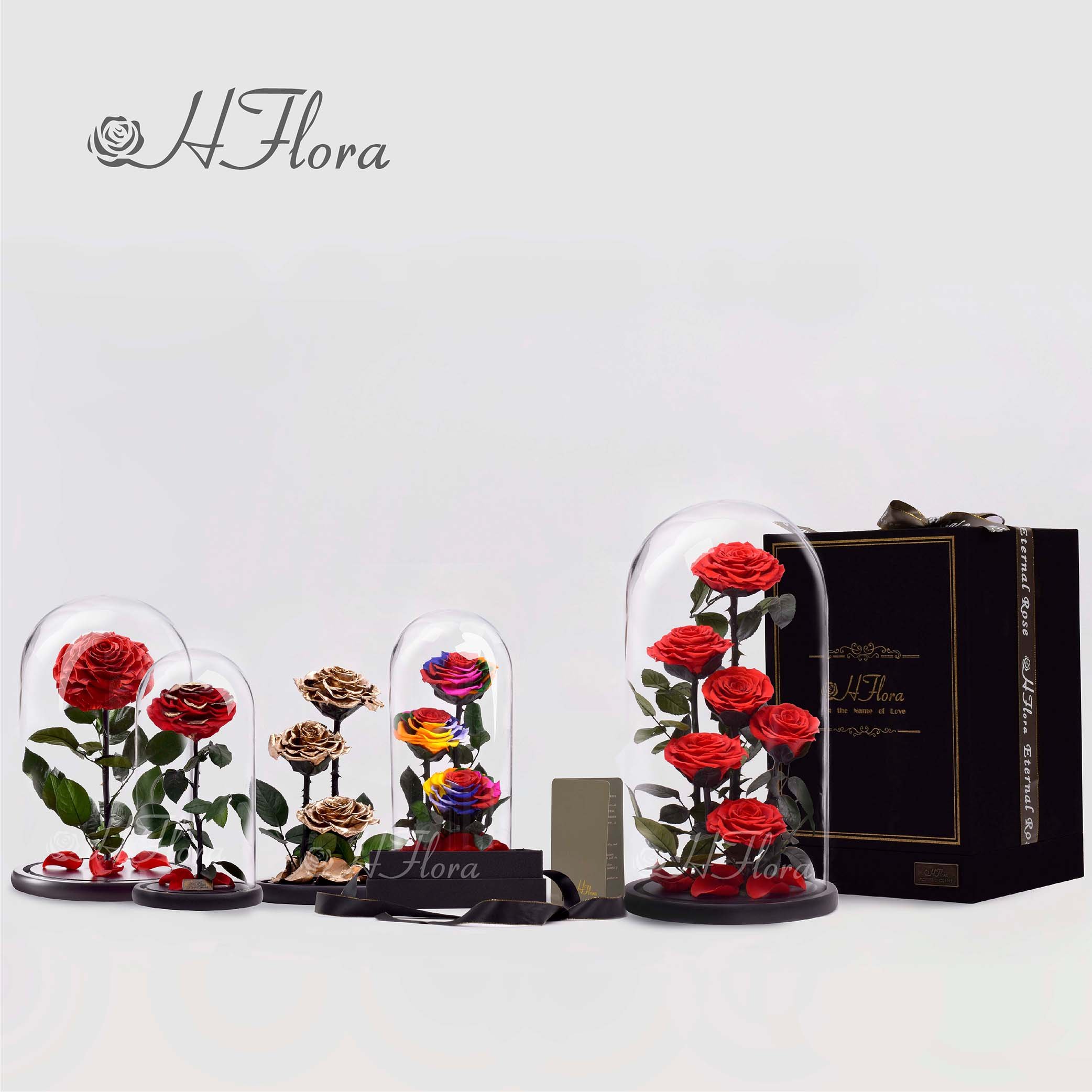 12*20cm Beauty Beast Belle LED Red Real Everlasting Decorative Flower Gift Box Forever Eternal Preserved Roses in Glass Dome