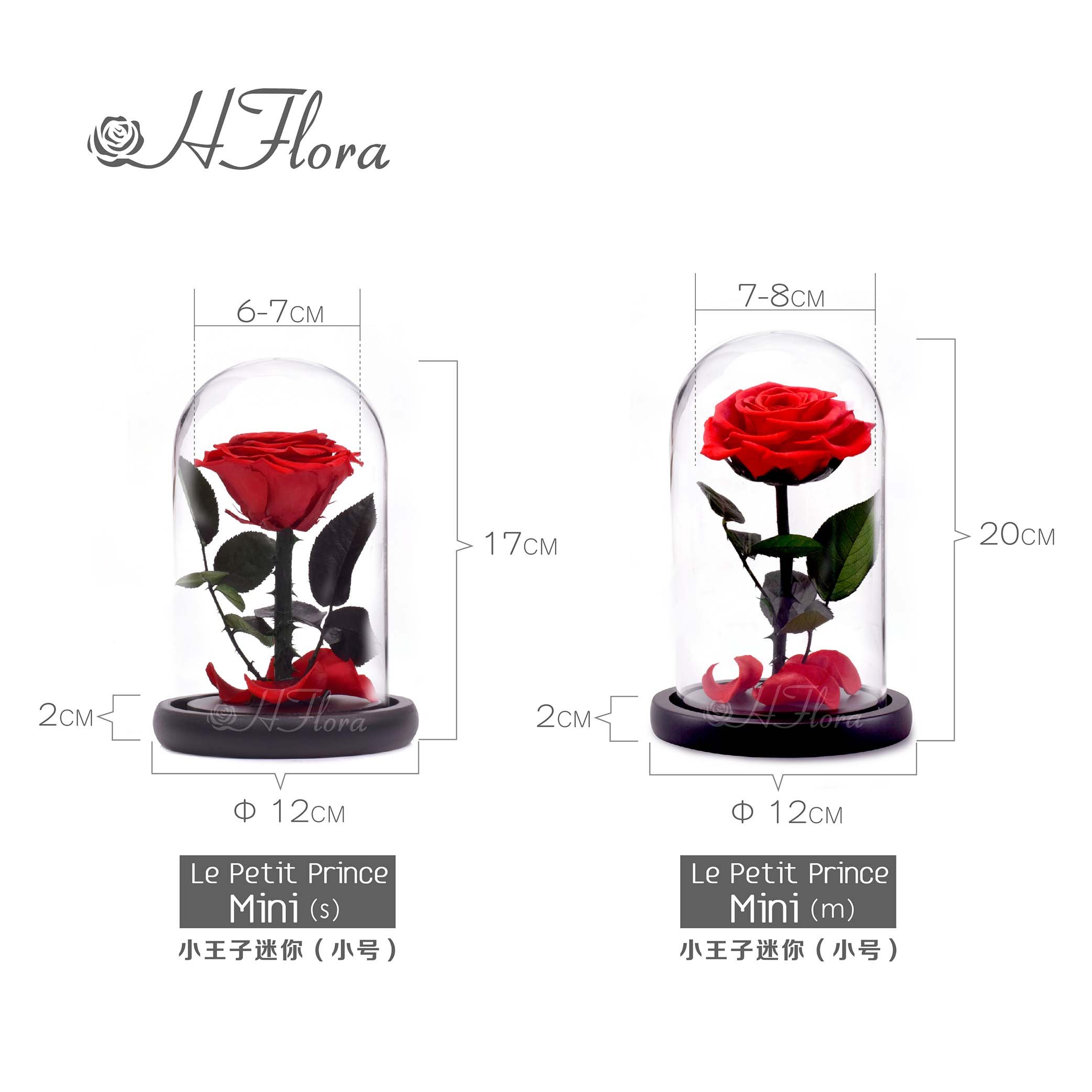 12*20cm Beauty Beast Belle LED Red Real Everlasting Decorative Flower Gift Box Forever Eternal Preserved Roses in Glass Dome