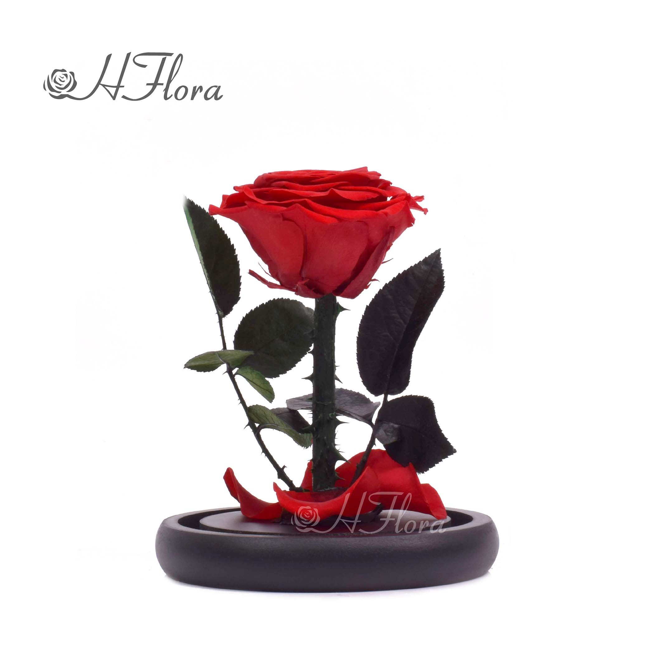 12*20cm Beauty Beast Belle LED Red Real Everlasting Decorative Flower Gift Box Forever Eternal Preserved Roses in Glass Dome