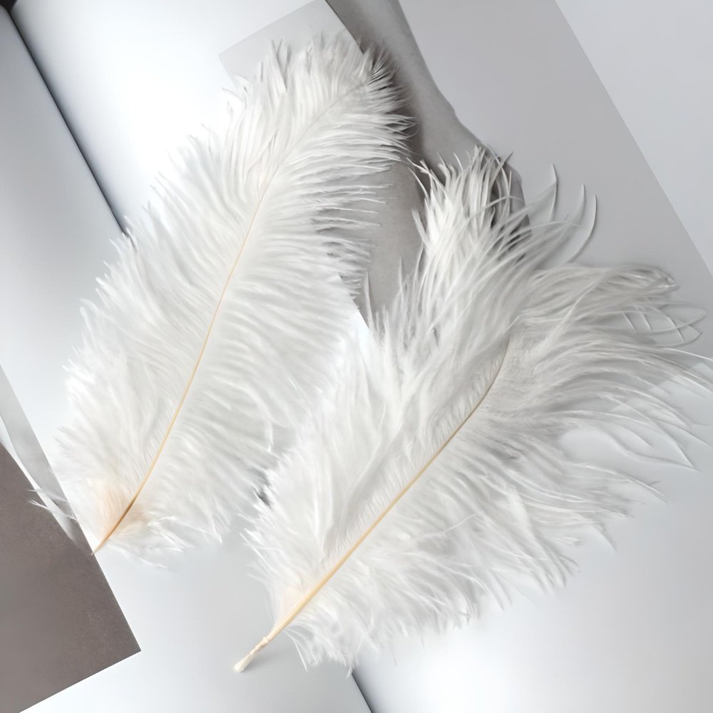 Natural ostrich feathers died flowers wholesale for boho arrangements decor