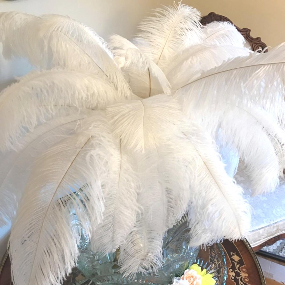 Natural ostrich feathers died flowers wholesale for boho arrangements decor