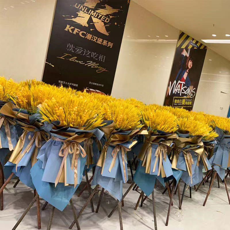 Barley wheat ears dried flower barley flower basket primary color wheat ear opening decoration shooting props barley bouquet