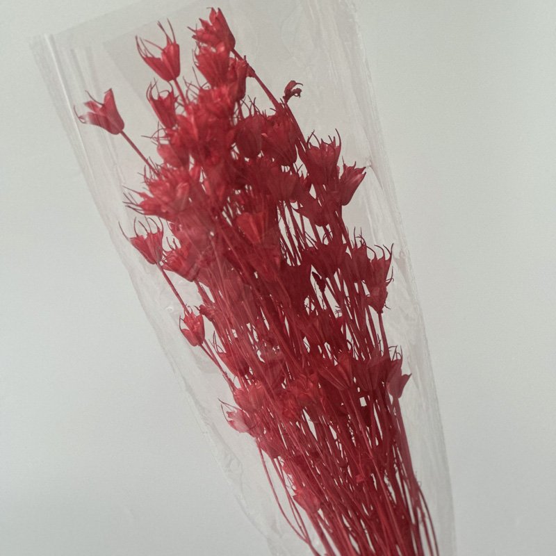 Natural Dried Flowers Star Anise Octagon Flower for wedding or Home Decoration