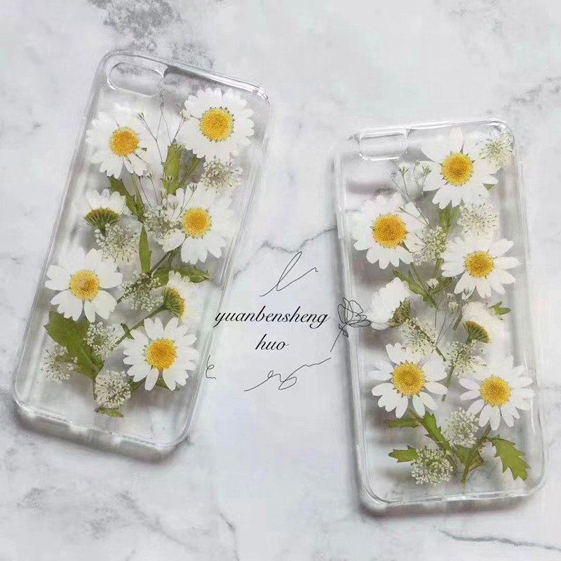 High Quality Pressed Daisy With Brunch DIY Daisy Flowers Customized Colors Available Dried Daisies