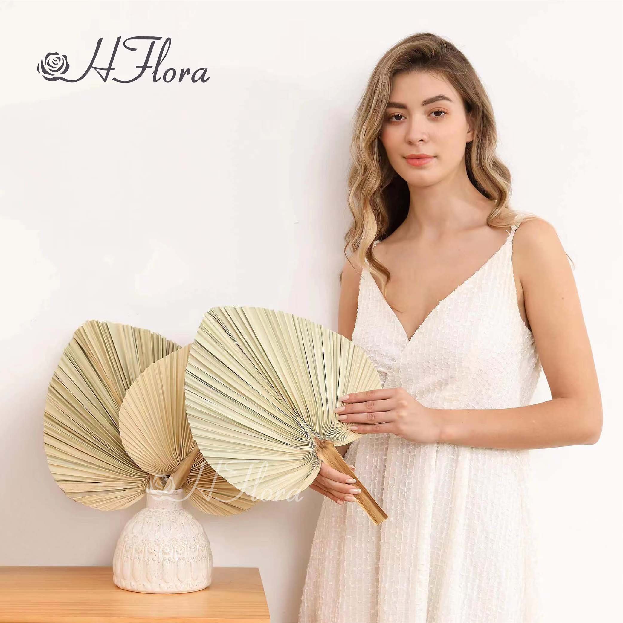 Hflora Natural Preserved Palm Leaf Dried leaf for Event Decoration