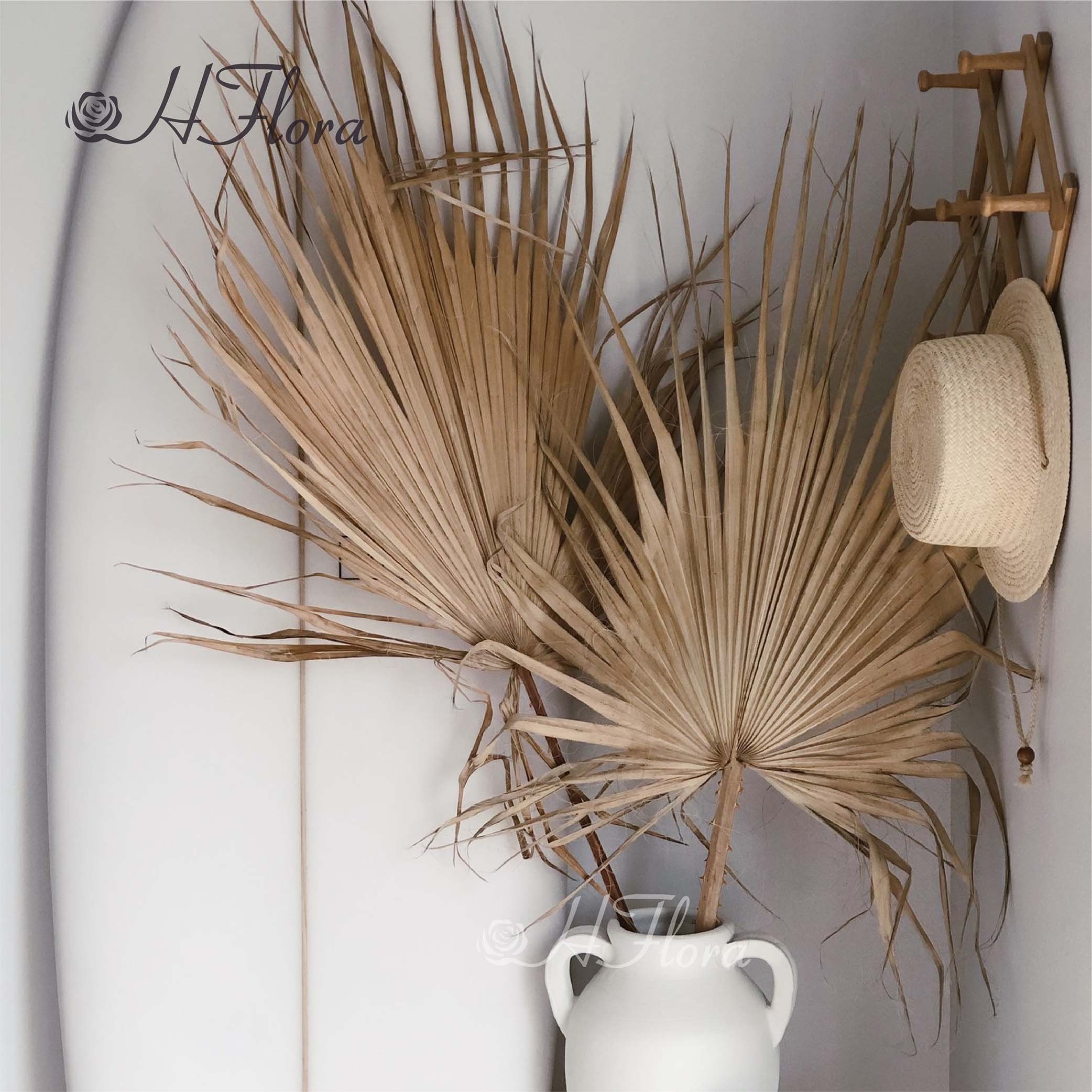 Hflora Natural Preserved Palm Leaf Dried leaf for Event Decoration