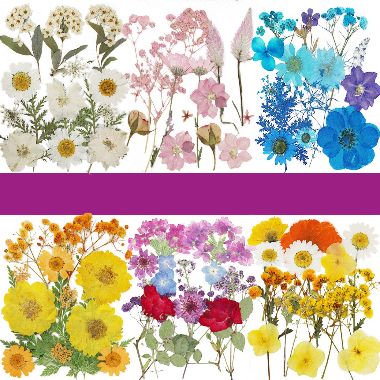 Q269 Dried Press Flower Handicraft Flower Press Bulk Mixed Pack Diy Material 15 Pieces Real Natural Dry Flower