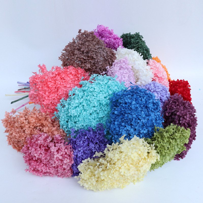 Decorative Dried Large Hydragea Real Preserved Long Stem Hydrangea