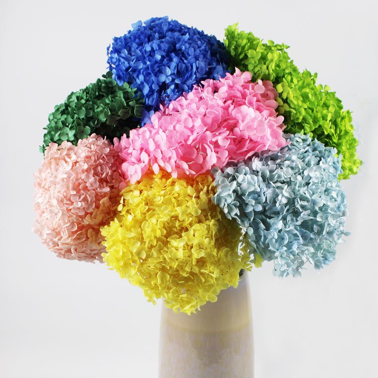 Decorative Dried Large Hydragea Real Preserved Long Stem Hydrangea