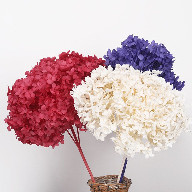 Decorative Dried Large Hydragea Real Preserved Long Stem Hydrangea