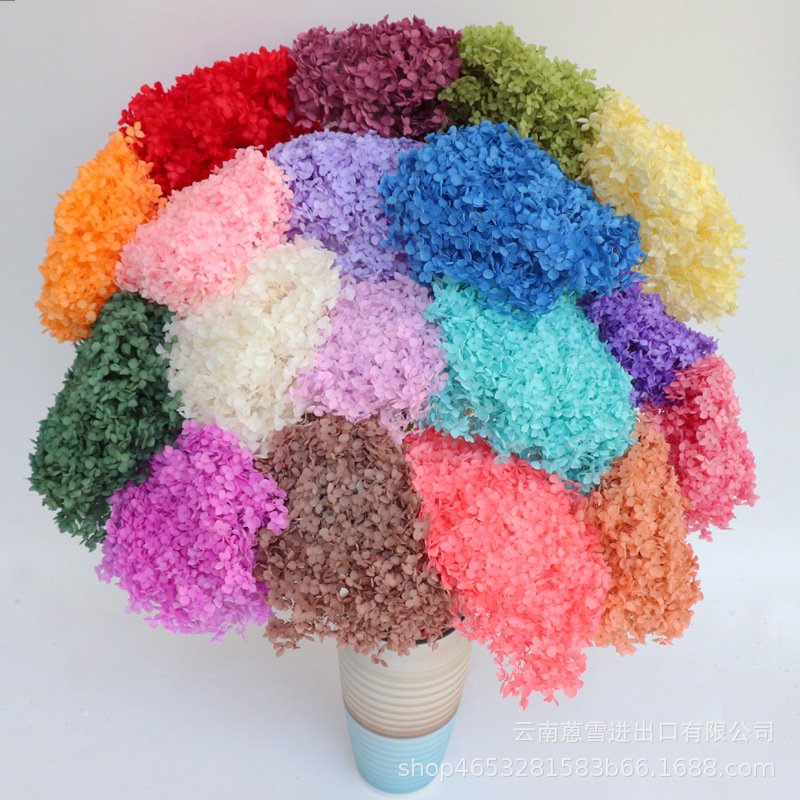 Decorative Dried Large Hydragea Real Preserved Long Stem Hydrangea