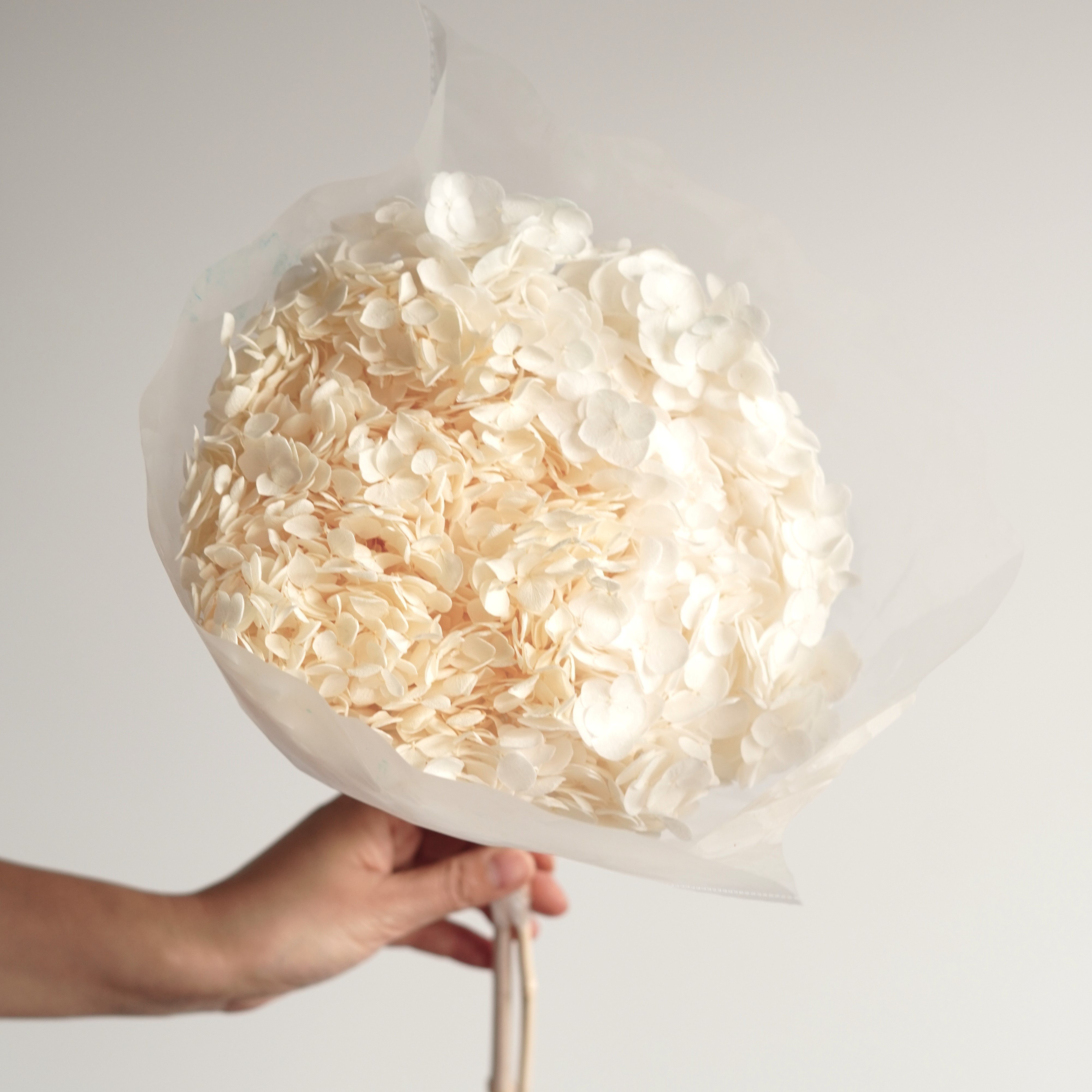 High Quality LARGE Head Preserved Hydrangeas|Dried Flowers|Natural Arrangement