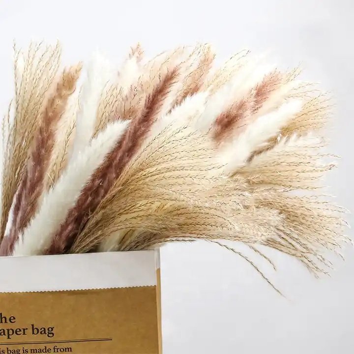 TC 100pcs Home Wedding Centerpieces Bouquet Decoration Artificial Dried Flowers Plants Decorative Fluffy Tall Pampas Grass