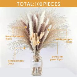 100pcs