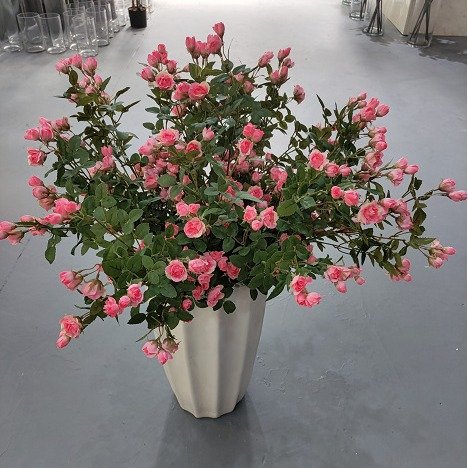 Maylos Long Stem Flowers Mini Silk White Red Yellow Roses Artificial Flower Wedding Artificial Roses