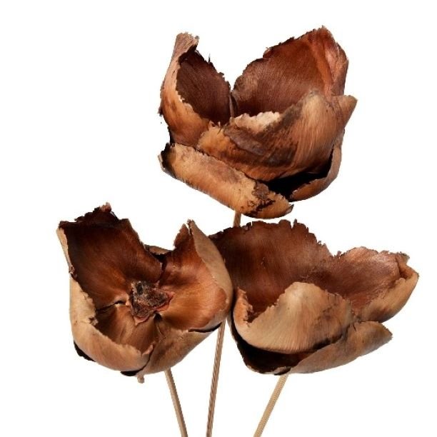 Popular Premium Quality Palm Cap for Wedding Home Event Office Decor & Dried Flower Arrangement