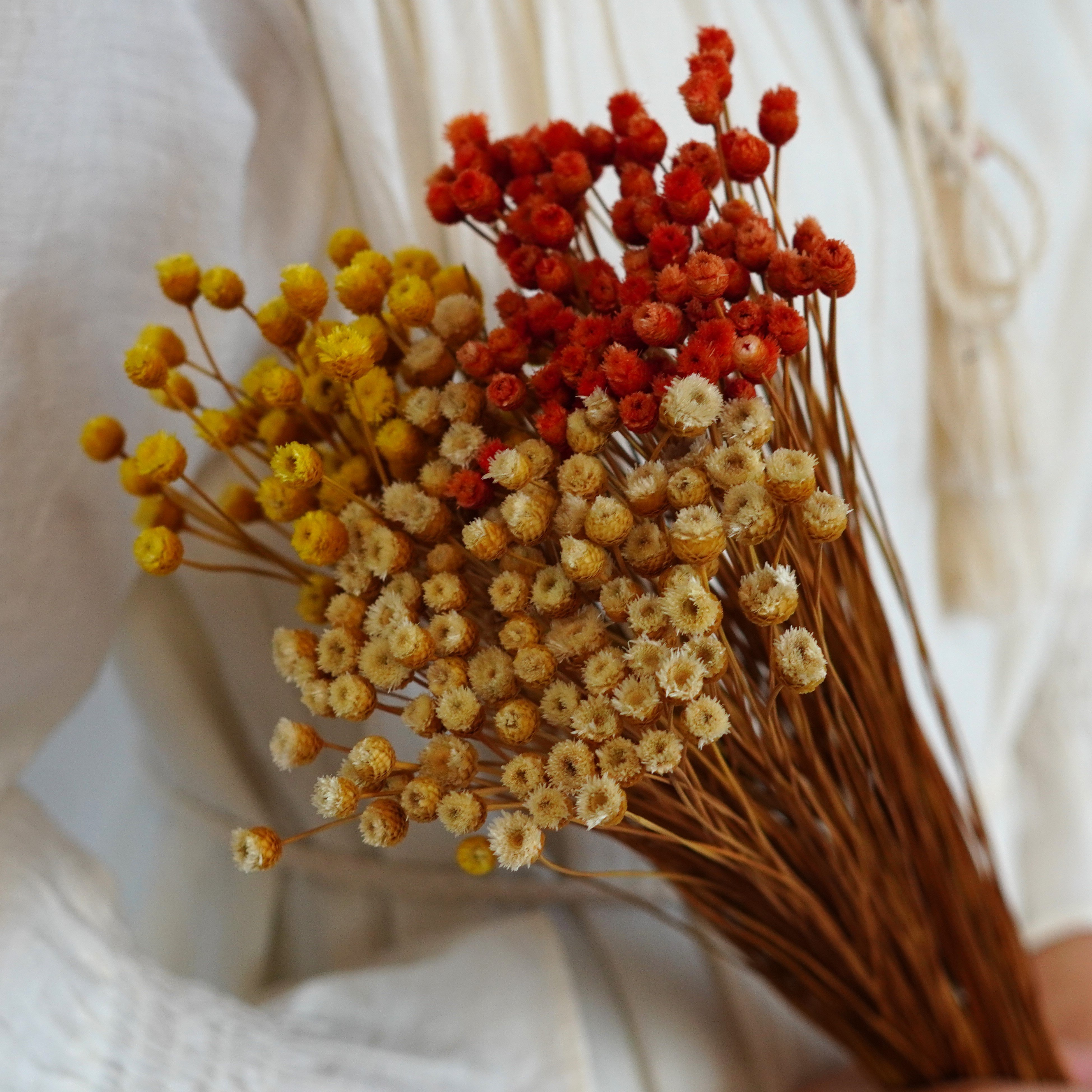 Brazilian flower branches, dried flowers, small wildflowers, flower arrangements, home decoration