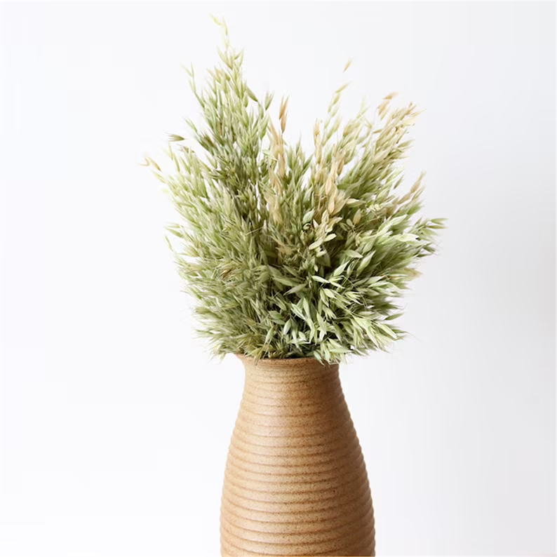 T-2 About 50 stems of dried oat/avena sativa flowers white bleached wedding decoration DIY dry flower arrangement home decor