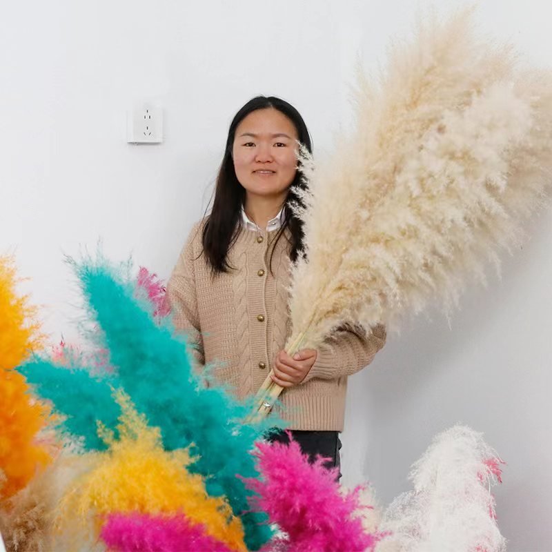 Hot sale Top Seller Decoration Dried Flowers White Brown Reeds Pampas Grass Large Pampasgras For Home or Weddings Decoration