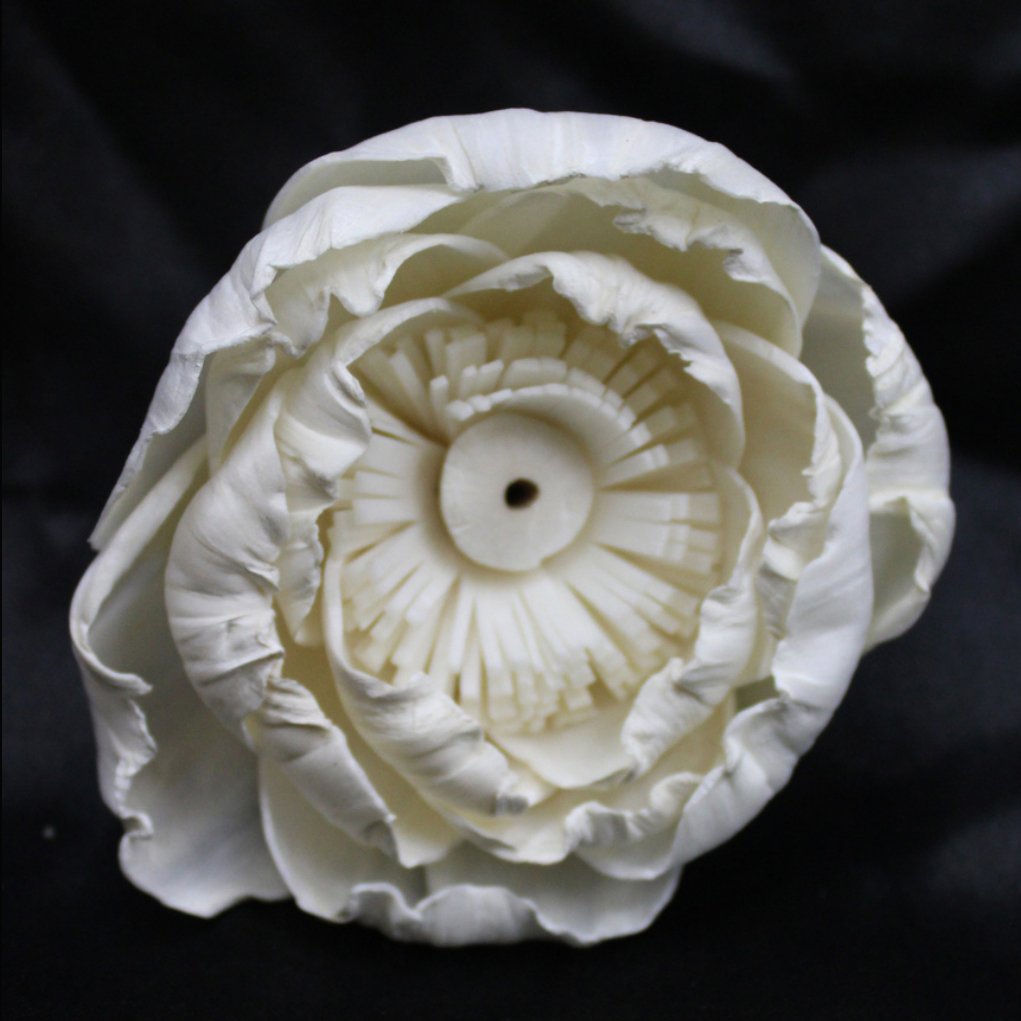Premium Natural Sola Flowers for Wedding and Home Decoration - Creative Design, High-Quality Wholesale Aromatherapy Flowers