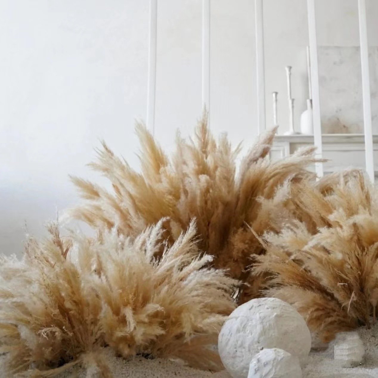 G16 Free Sample Fluffy Large Pampa Grass Popular Natural Wedding Pampas Grass Tall Decor Dry Pampas Grass