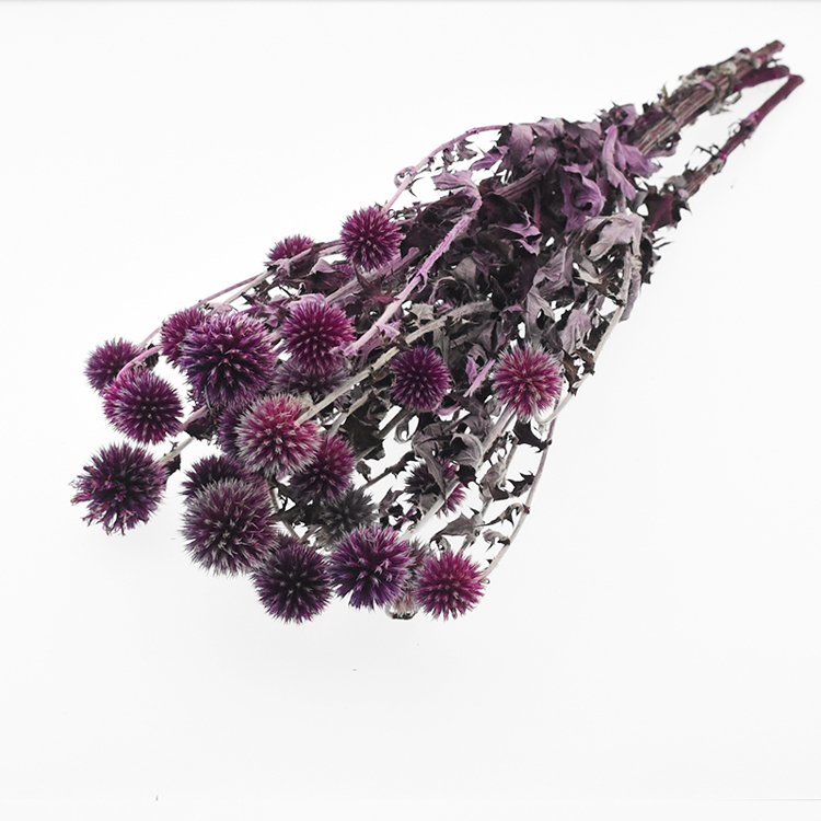 Sumflora Wholesale supplier direct Dried Flower For Home decoration preserved flower blue planet