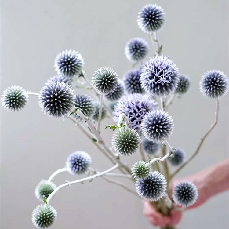 Sumflora Wholesale supplier direct Dried Flower For Home decoration preserved flower blue planet