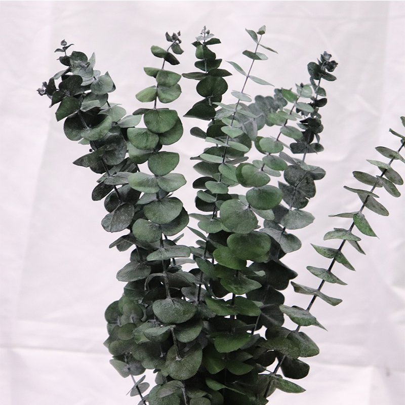 Wholesale eucalyptus stem Dried Eucalyptus Leaves For Home Decoration Bouquet Material Preserved Flowers Plants