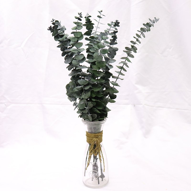 Wholesale eucalyptus stem Dried Eucalyptus Leaves For Home Decoration Bouquet Material Preserved Flowers Plants