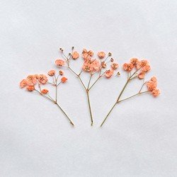 4#