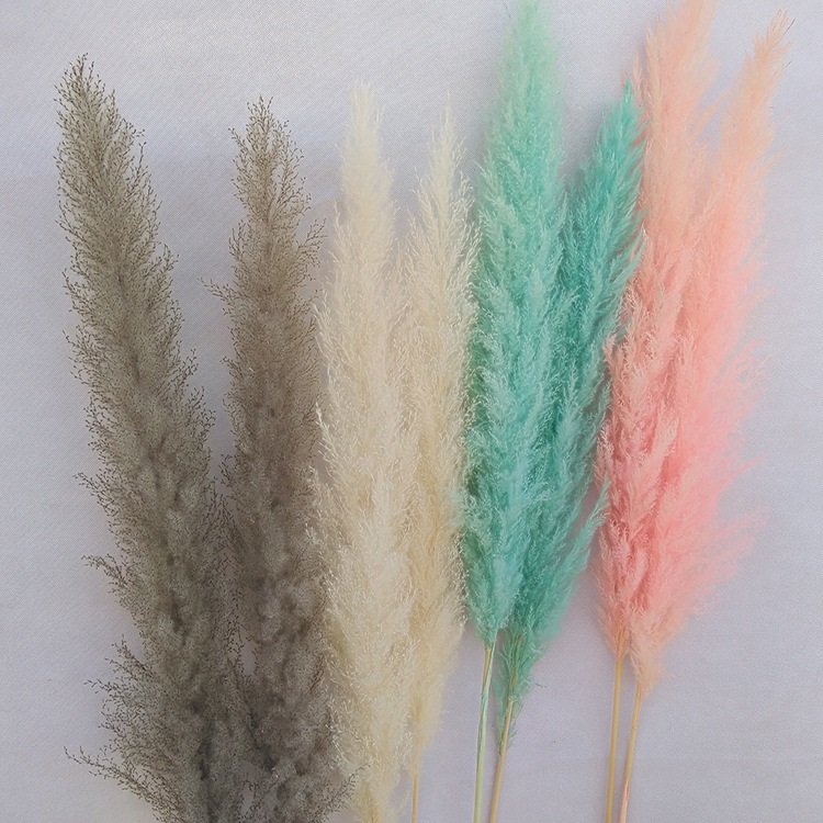 Artificial Dried Reed Flower Dried Pampas Grass For Wedding Home Decoration Flowers