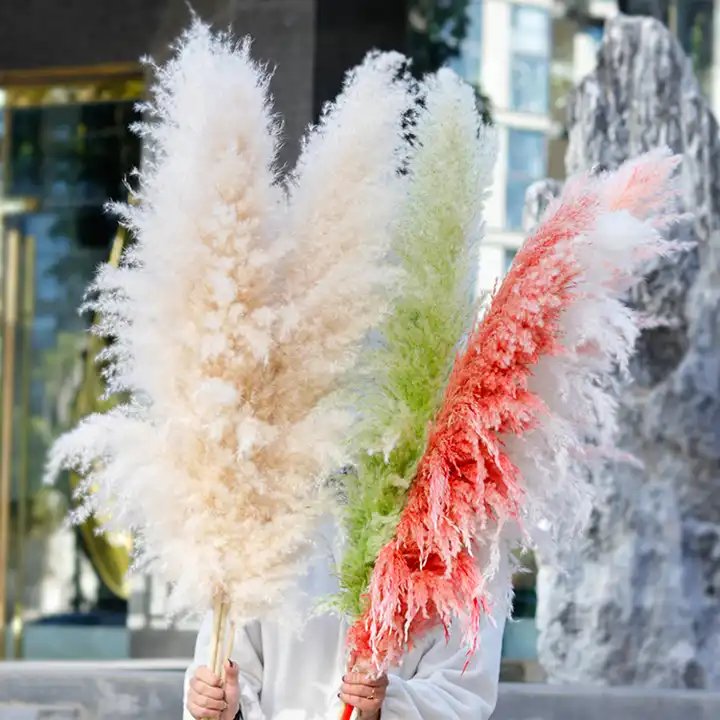 Factory Direct White Large Fluffy Dried Pampas Grass for Home Wedding Halloween and Graduation Decorative Flowers Gift
