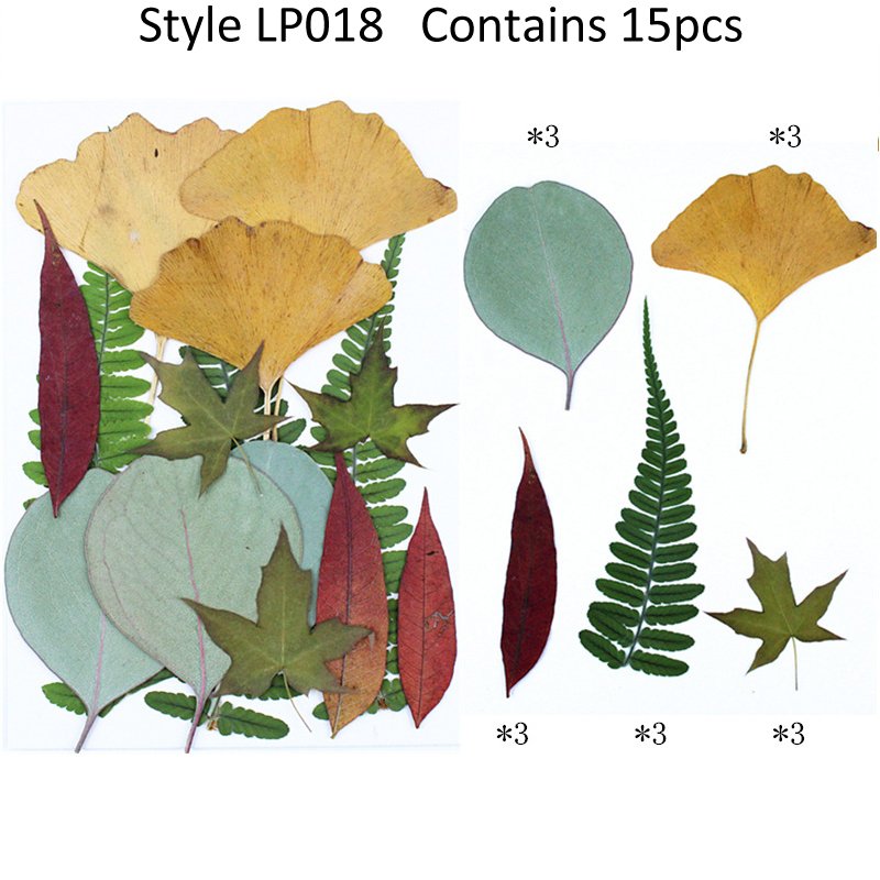 Pressed Flower And Leaves Real Dry Leaves In a Bag Handmade Bulk Mixed Real Natural Pressed Leaves Flower DIY Makeup