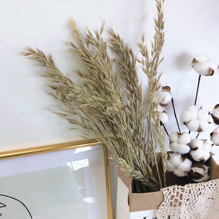 Sumflora 100 Days Party Novelty Forever Long Lasting Eternal flower Preserved flower Glass Dome Gifts dry flowers wheat