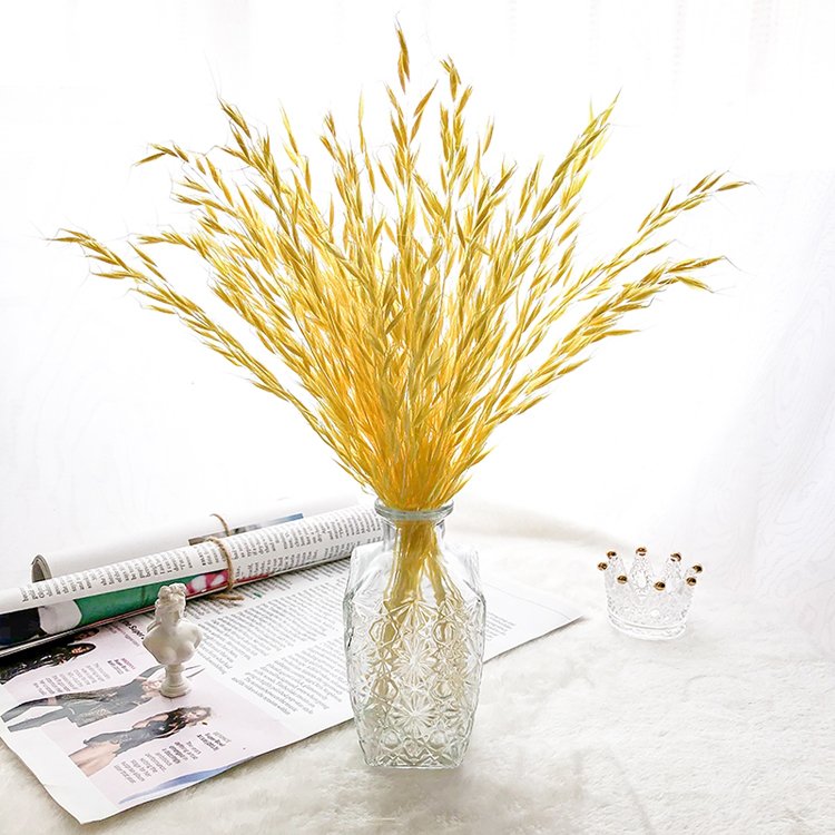 Sumflora 100 Days Party Novelty Forever Long Lasting Eternal flower Preserved flower Glass Dome Gifts dry flowers wheat